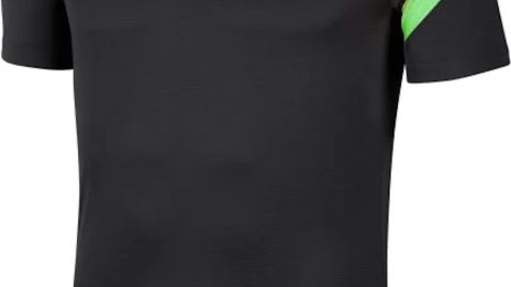 nike-m-nk-dry-acdpr-polo-273430-bv6922-060