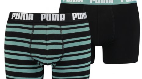 puma-heritage-stripe-423041-601015001-012