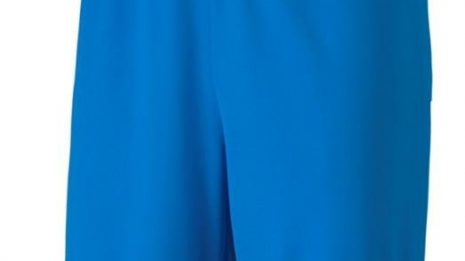 puma-teamgoal-23-knit-shorts-258646-70426202