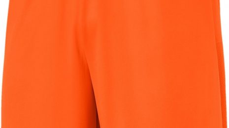puma-teamgoal-23-knit-shorts-258697-70426208