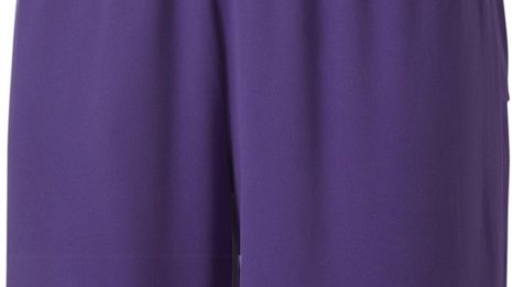 puma-teamgoal-23-knit-shorts-259144-70426210