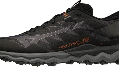 mizuno-wave-daichi-7-gtx-442636-j1gj225638