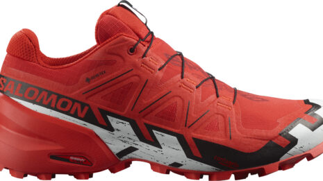 salomon-speedcross-6-gtx-522156-l41739000