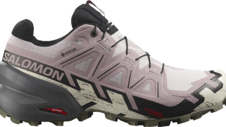 salomon-speedcross-6-gtx-w-491948-l41743600