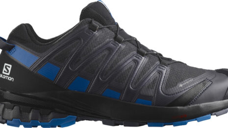 salomon-xa-pro-3d-v8-gtx-568171-l41735300