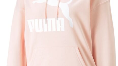 puma-classics-logo-hoody-w-595399-530075-097