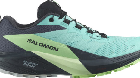 salomon-sense-ride-5-gtx-w-598303-l47216006