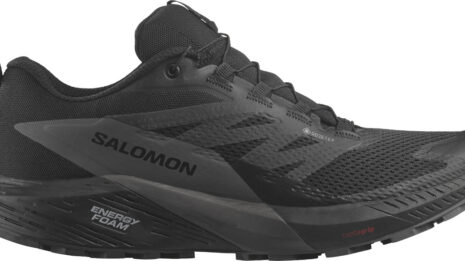 salomon-sense-ride-5-gtx-636761-l47147200