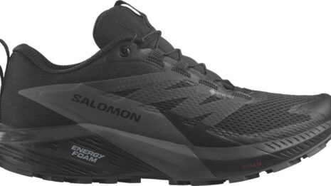 salomon-sense-ride-5-gtx-w-636831-l47147600