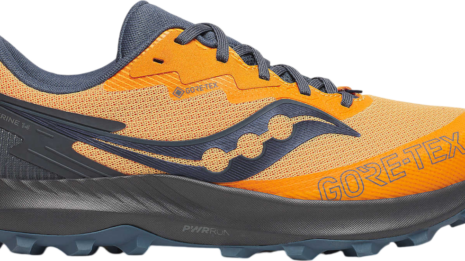 saucony-peregrine-14-gtx-821064-s20918-253