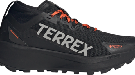 adidas-terrex-terrex-agravic-gtx-873828-ih2939